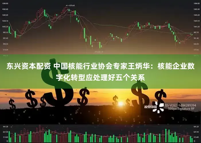 东兴资本配资 中国核能行业协会专家王炳华：核能企业数字化转型应处理好五个关系