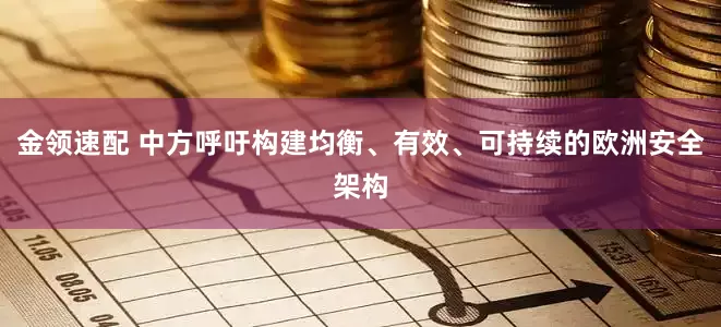 金领速配 中方呼吁构建均衡、有效、可持续的欧洲安全架构